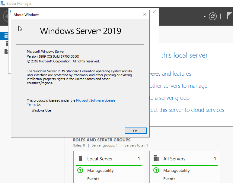Confirming Windows Server 2019 version details